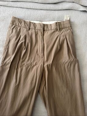 Aritzia Men's Pleated Chinos in Light Brown